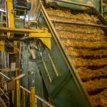 Uso de Hidróxido de calcio en Industria Azucarera